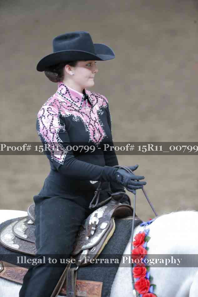 Proof Number 15R11_00799