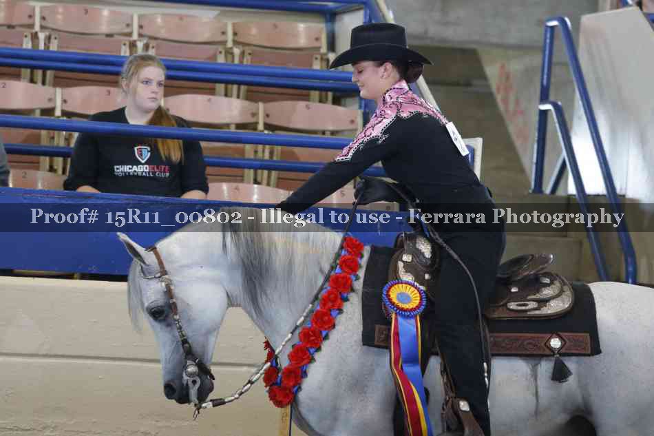 Proof Number 15R11_00802
