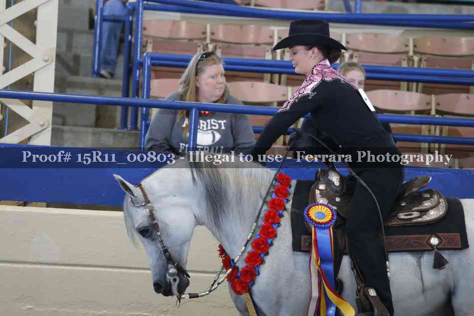 Proof Number 15R11_00803