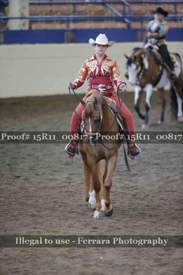 Proof Number 15R11_00817