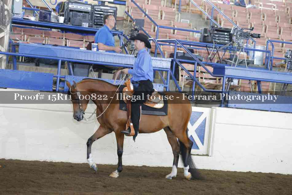 Proof Number 15R11_00822