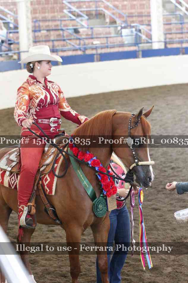 Proof Number 15R11_00835