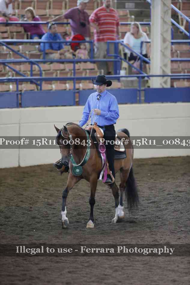 Proof Number 15R11_00843