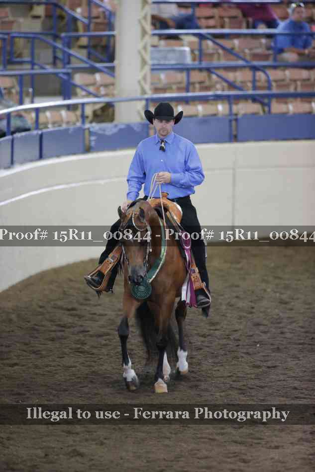 Proof Number 15R11_00844