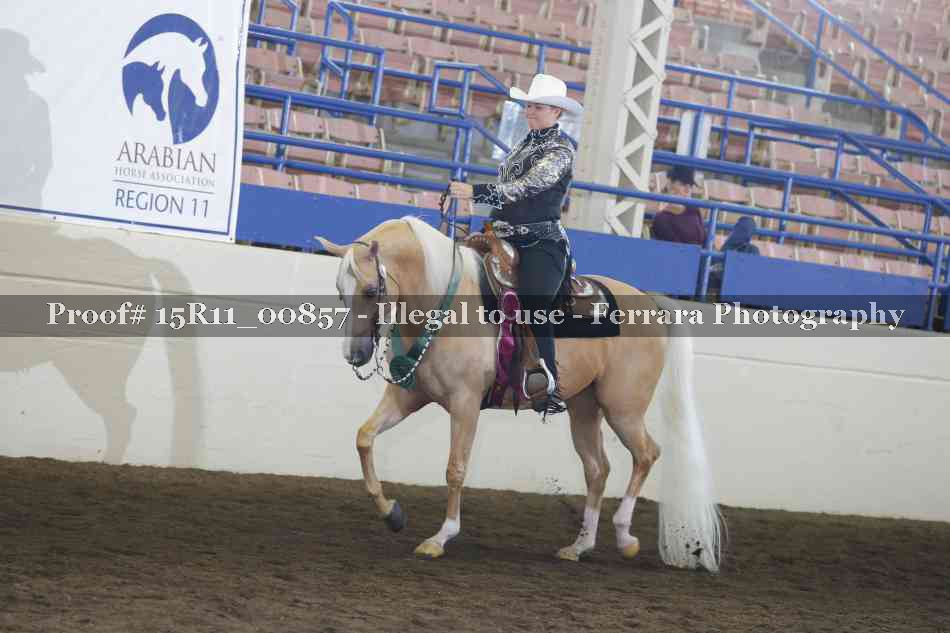 Proof Number 15R11_00857