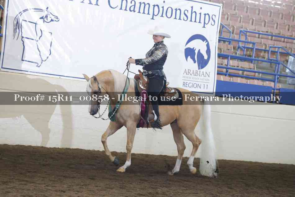 Proof Number 15R11_00858
