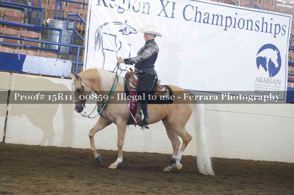 Proof Number 15R11_00859