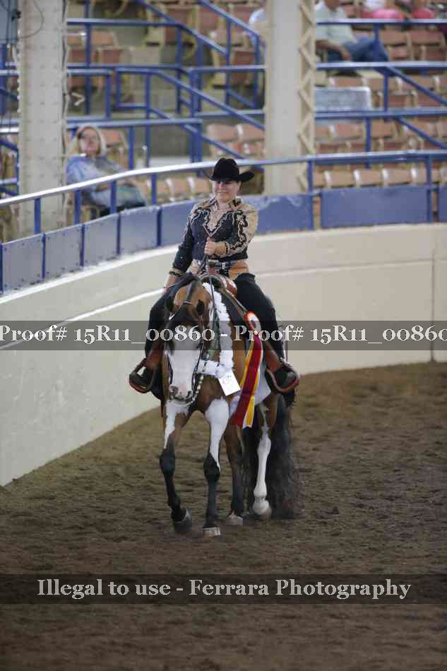 Proof Number 15R11_00860