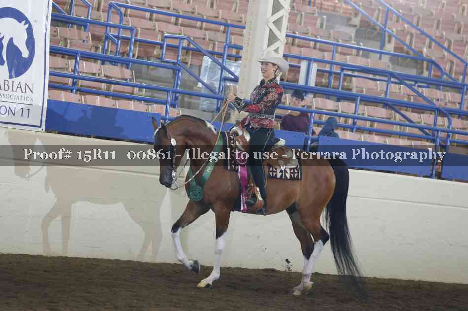 Proof Number 15R11_00861