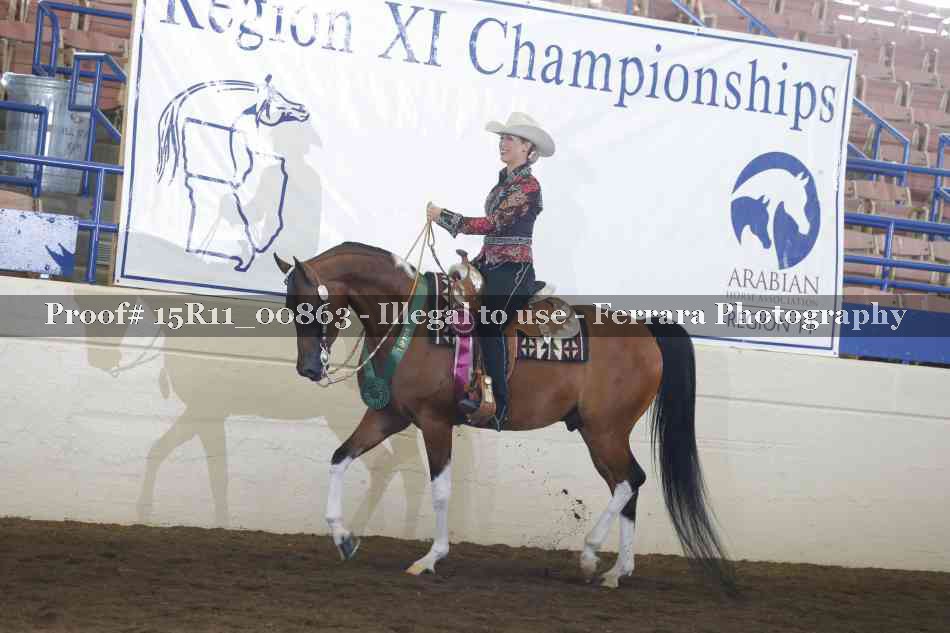 Proof Number 15R11_00863