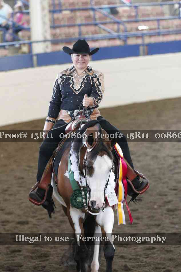Proof Number 15R11_00866