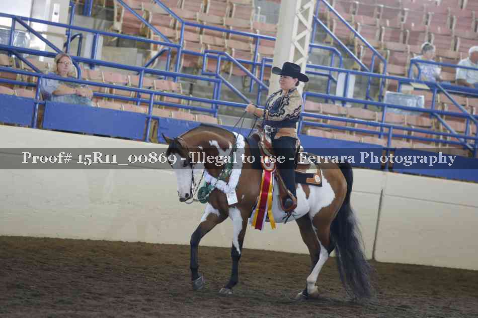 Proof Number 15R11_00869