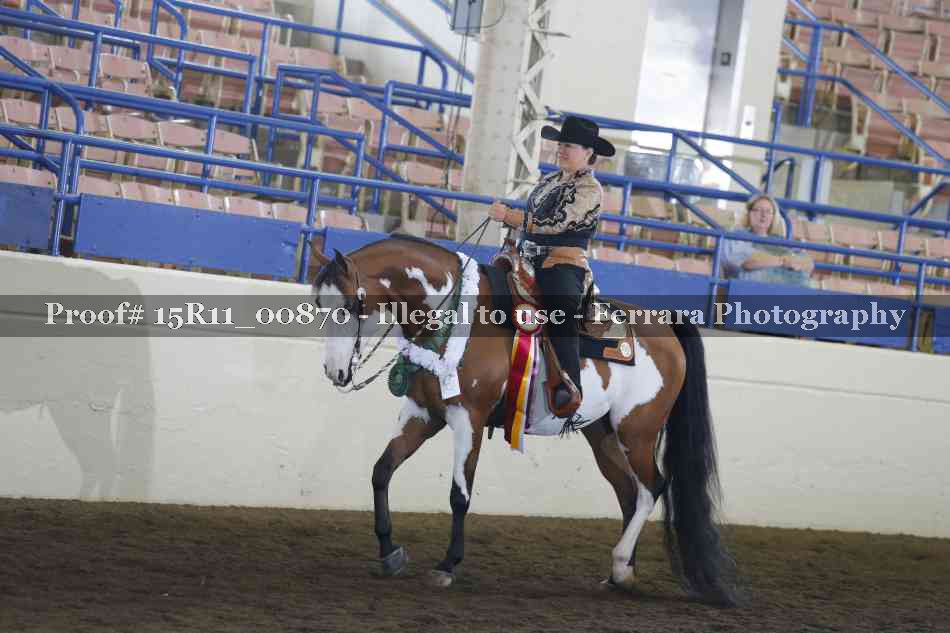 Proof Number 15R11_00870