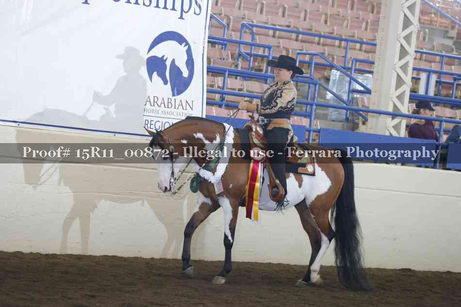 Proof Number 15R11_00872