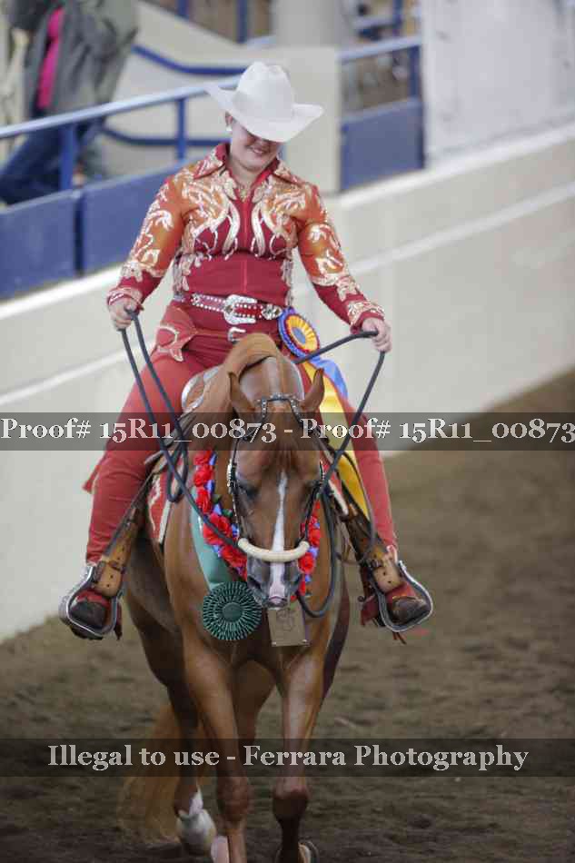 Proof Number 15R11_00873