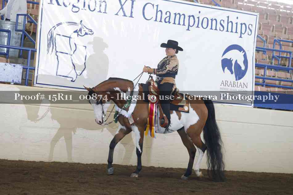 Proof Number 15R11_00874