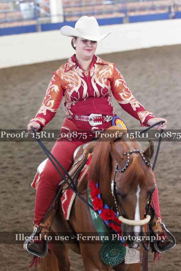 Proof Number 15R11_00875