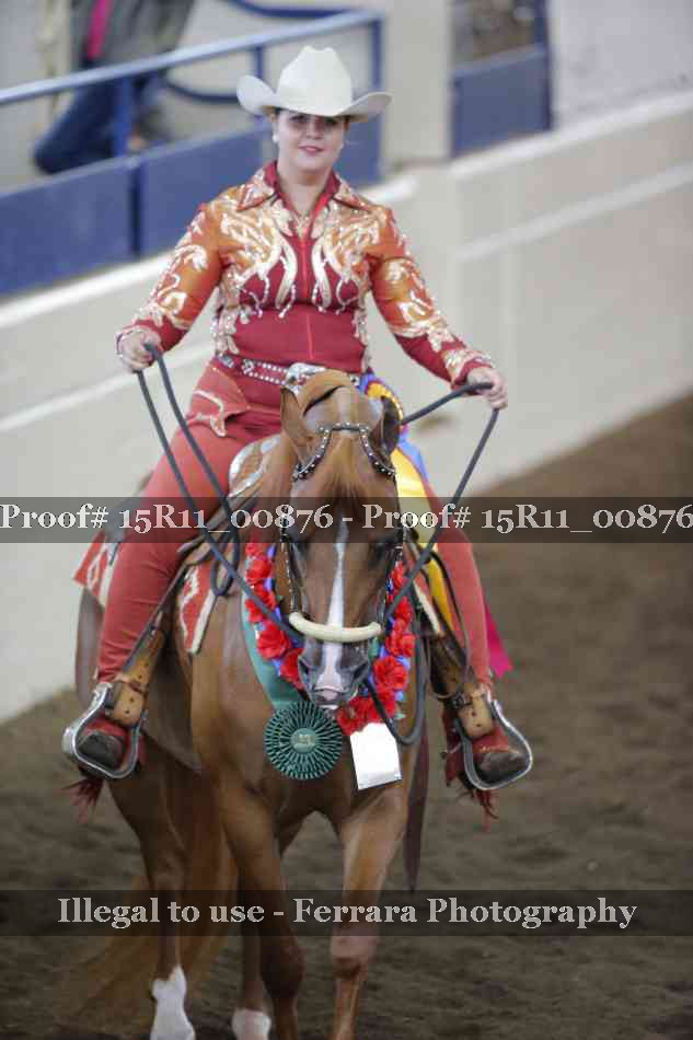 Proof Number 15R11_00876