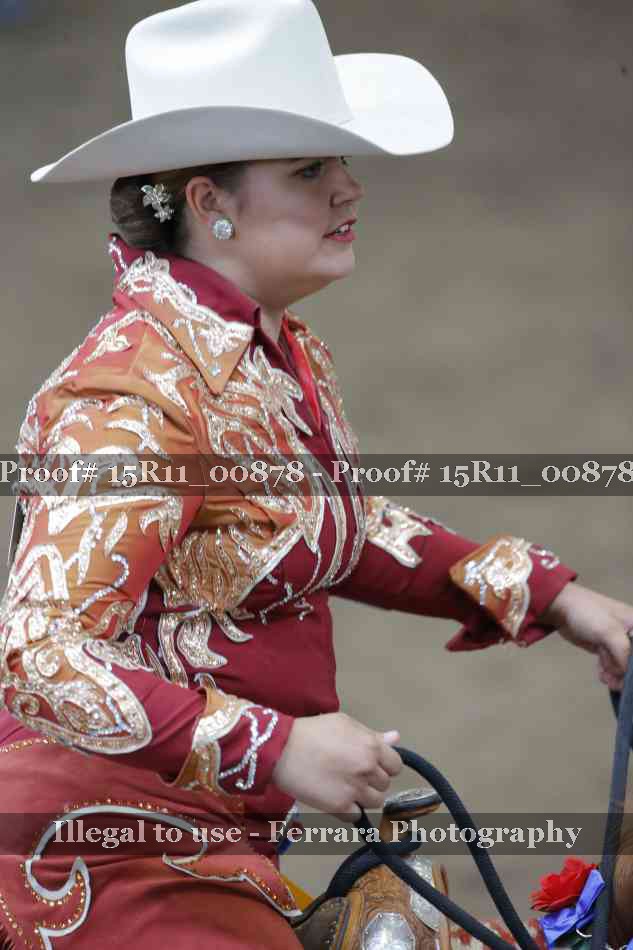 Proof Number 15R11_00878