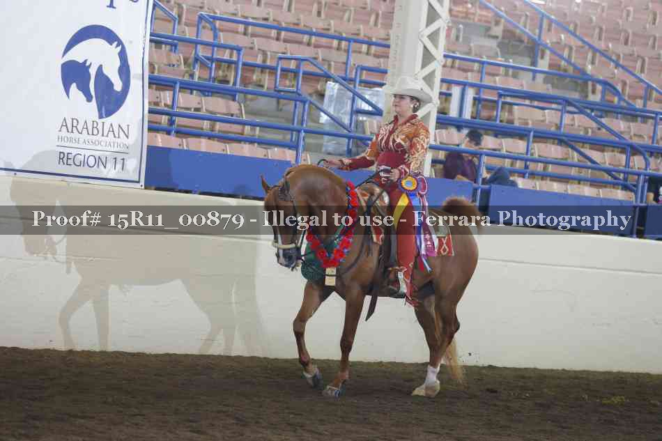 Proof Number 15R11_00879