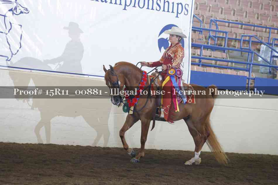 Proof Number 15R11_00881