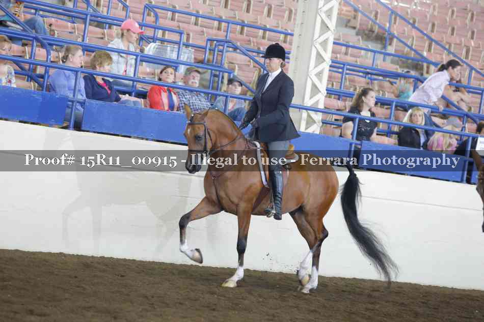 Proof Number 15R11_00915