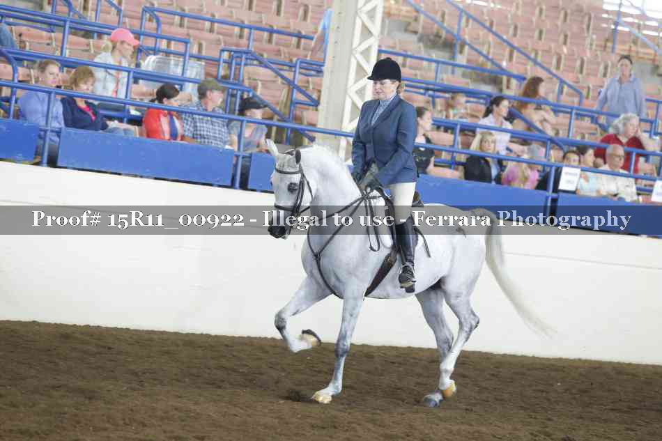 Proof Number 15R11_00922