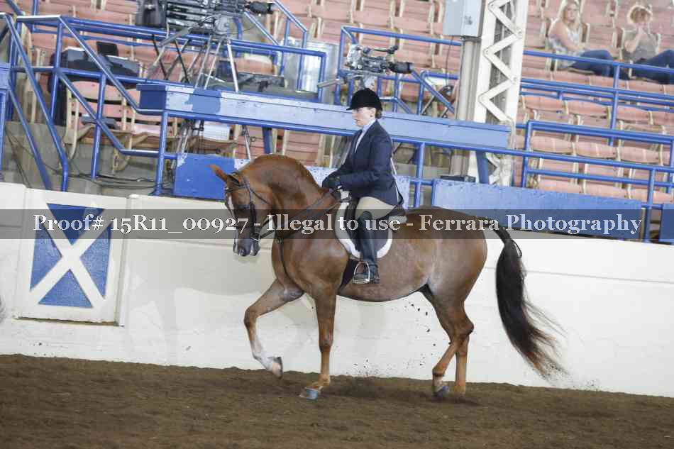 Proof Number 15R11_00927