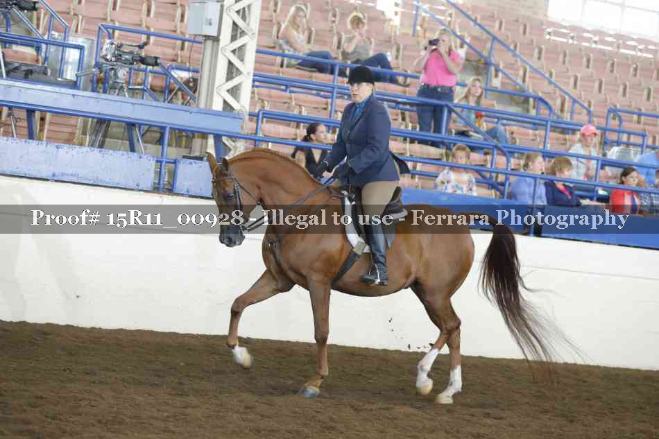 Proof Number 15R11_00928