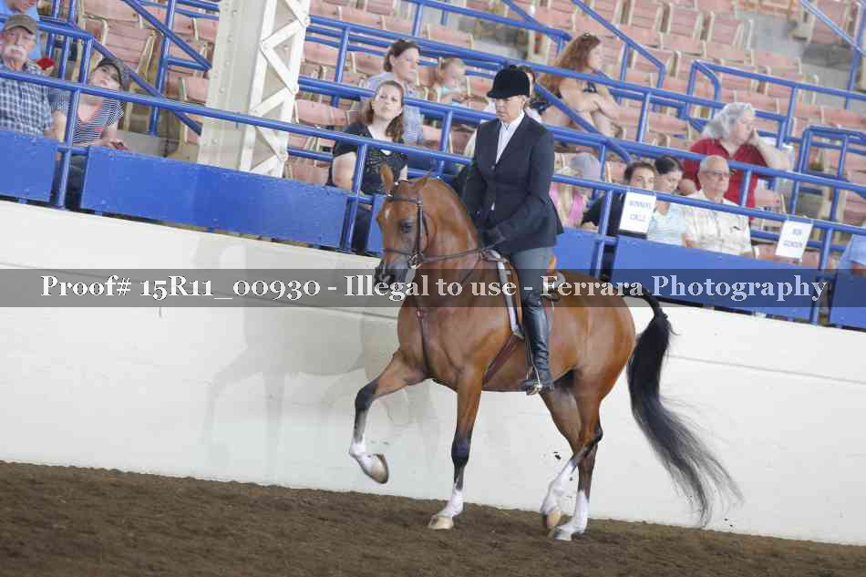 Proof Number 15R11_00930