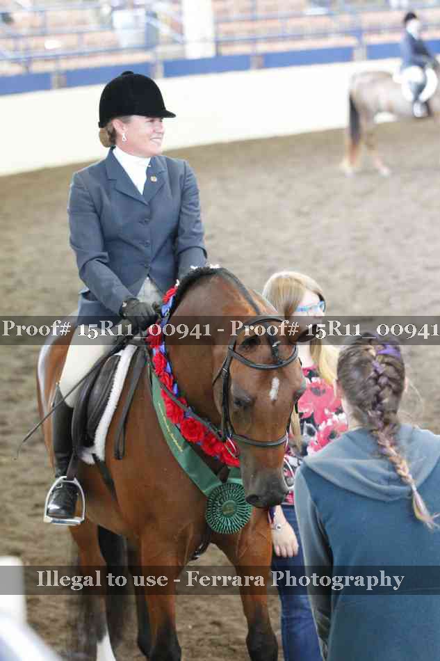 Proof Number 15R11_00941