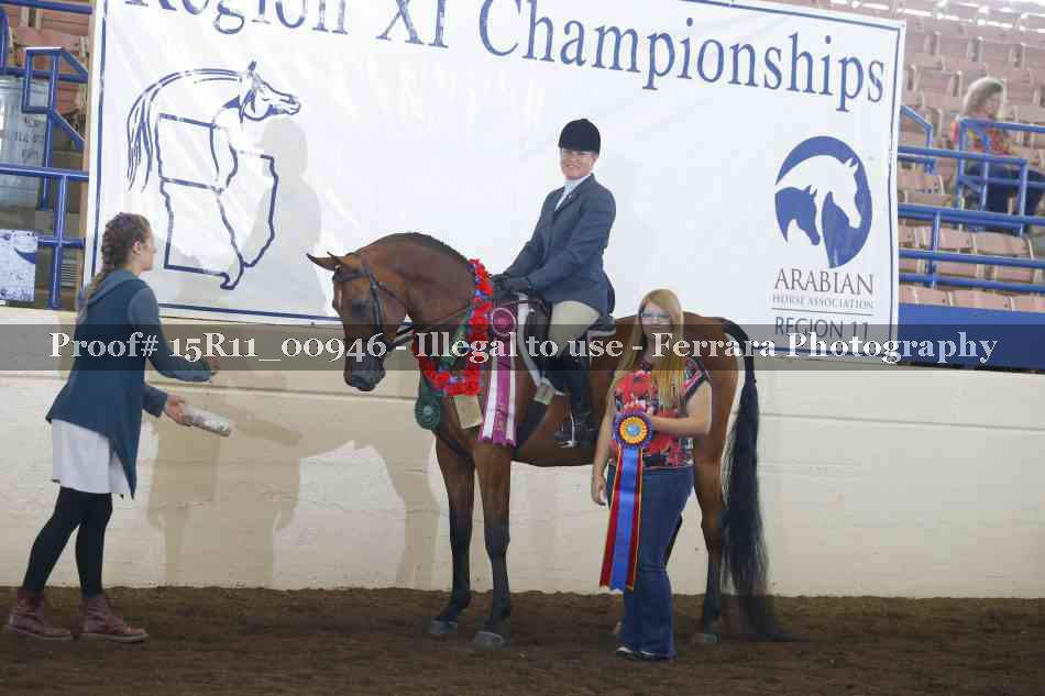 Proof Number 15R11_00946