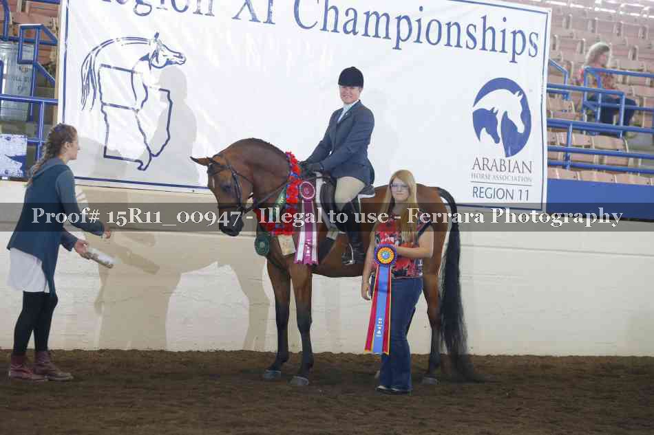 Proof Number 15R11_00947