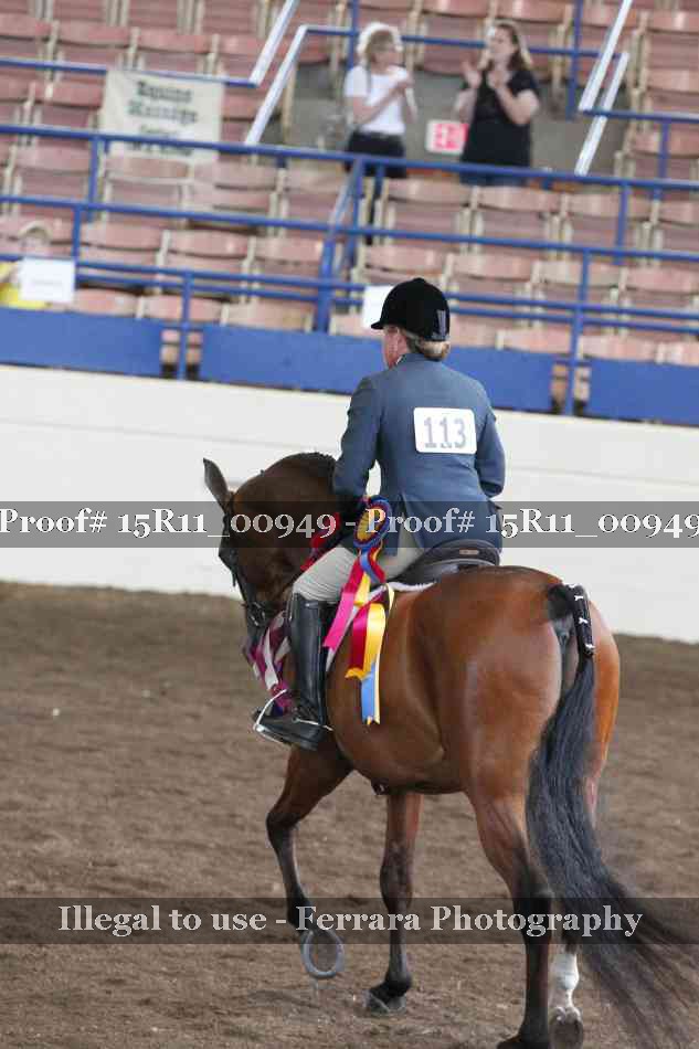 Proof Number 15R11_00949