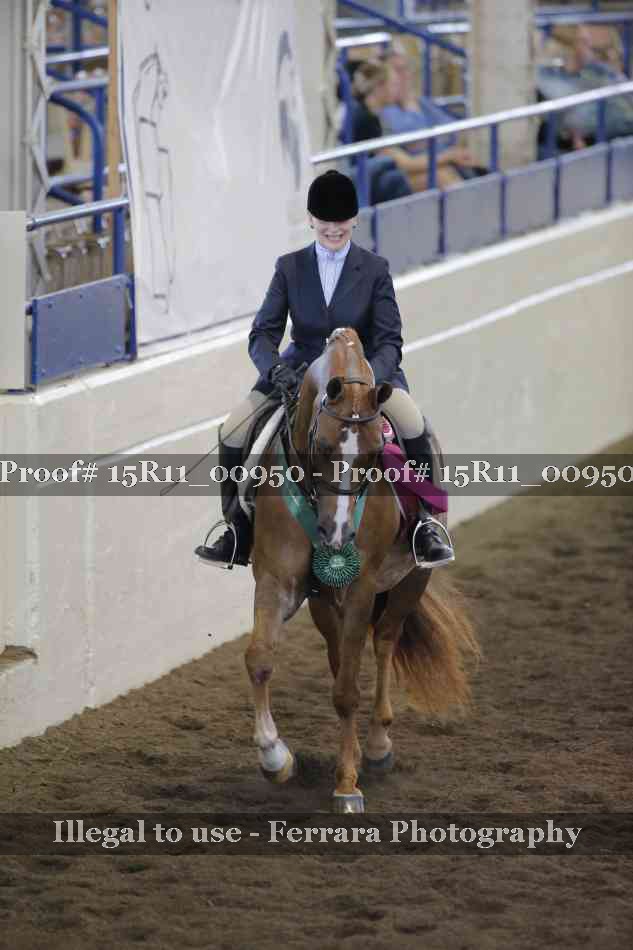 Proof Number 15R11_00950