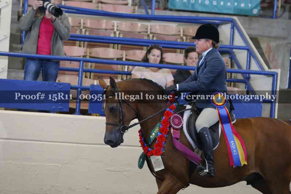 Proof Number 15R11_00951