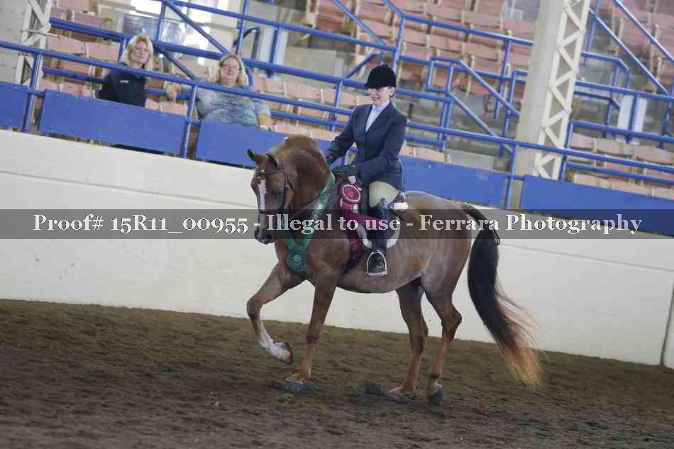 Proof Number 15R11_00955