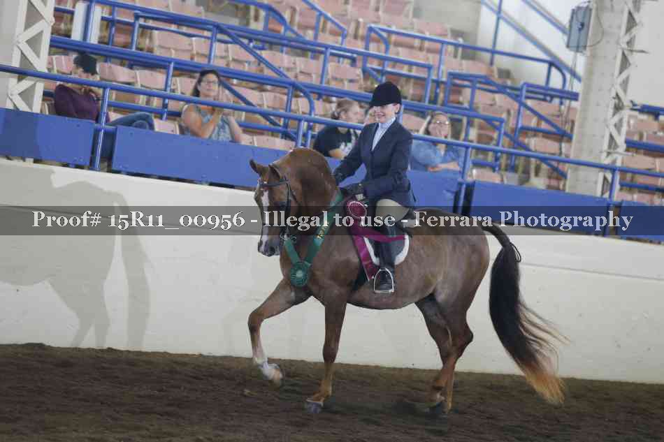 Proof Number 15R11_00956