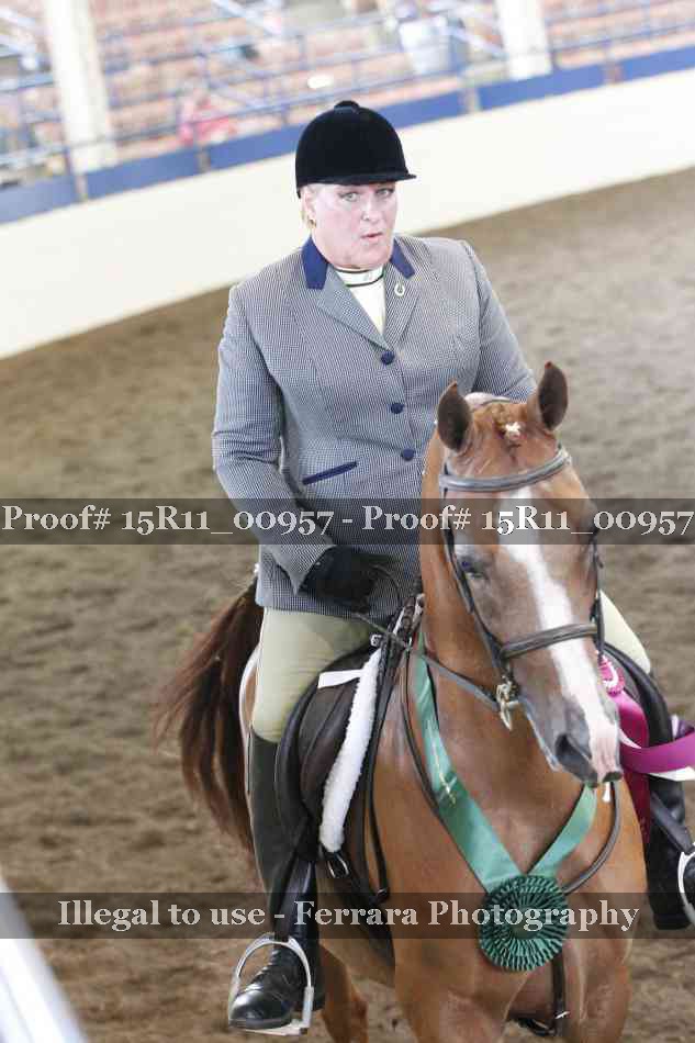 Proof Number 15R11_00957