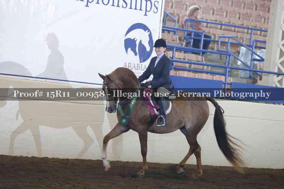 Proof Number 15R11_00958