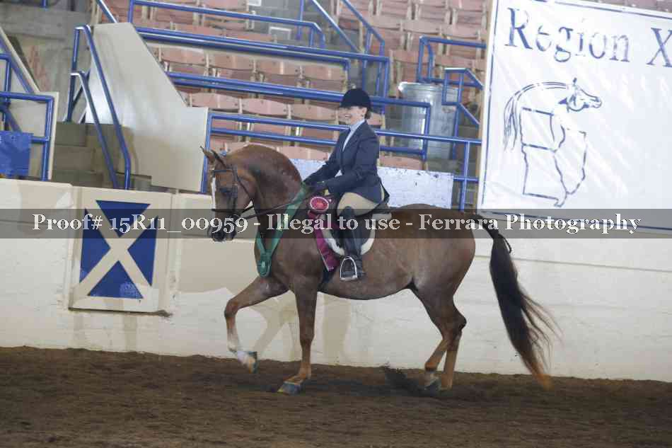 Proof Number 15R11_00959