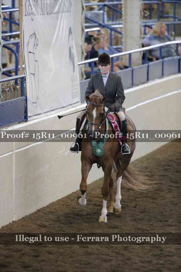 Proof Number 15R11_00961