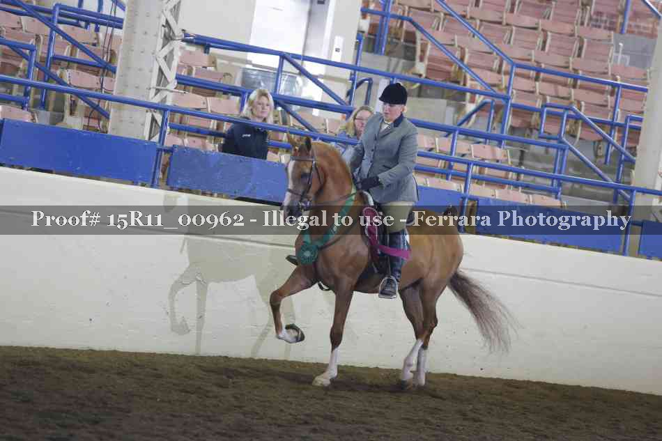 Proof Number 15R11_00962