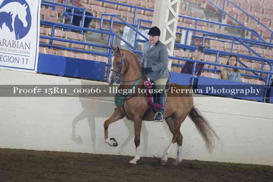 Proof Number 15R11_00966