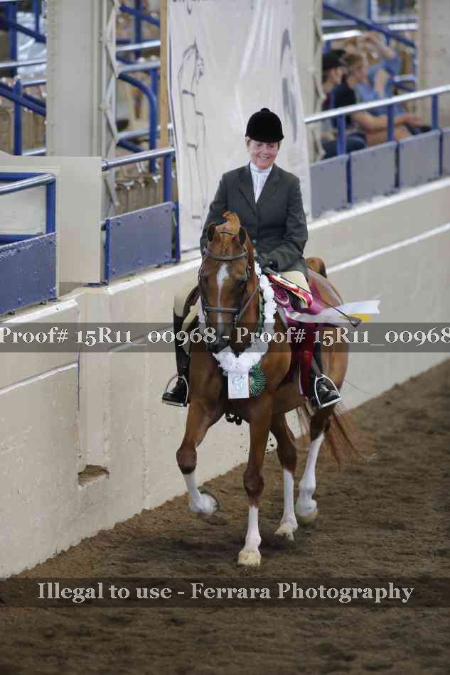 Proof Number 15R11_00968