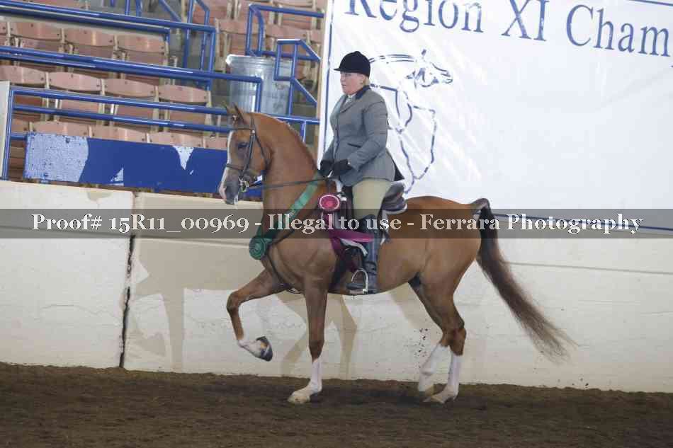 Proof Number 15R11_00969