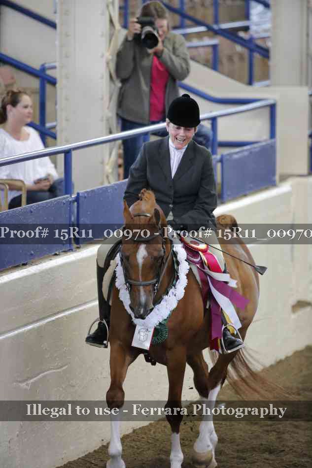 Proof Number 15R11_00970