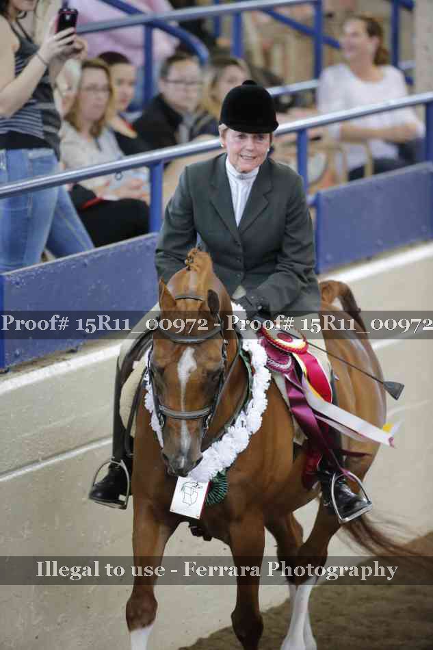Proof Number 15R11_00972