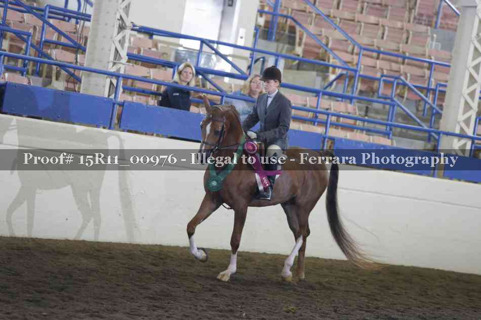 Proof Number 15R11_00976
