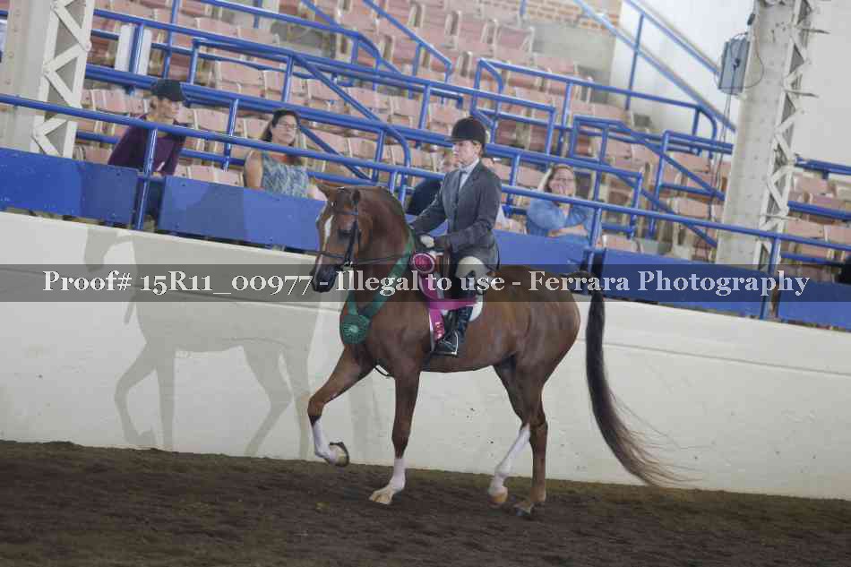 Proof Number 15R11_00977